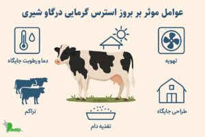 management-strategies-for-controll-heat-stress