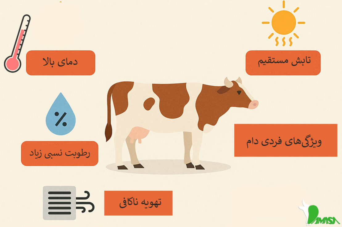 استرس گرمایی در گاو شیری: علل، علائم و بهترین روش پیشگیری 1 factors-affecting-the-occurrence-of-heat-stress