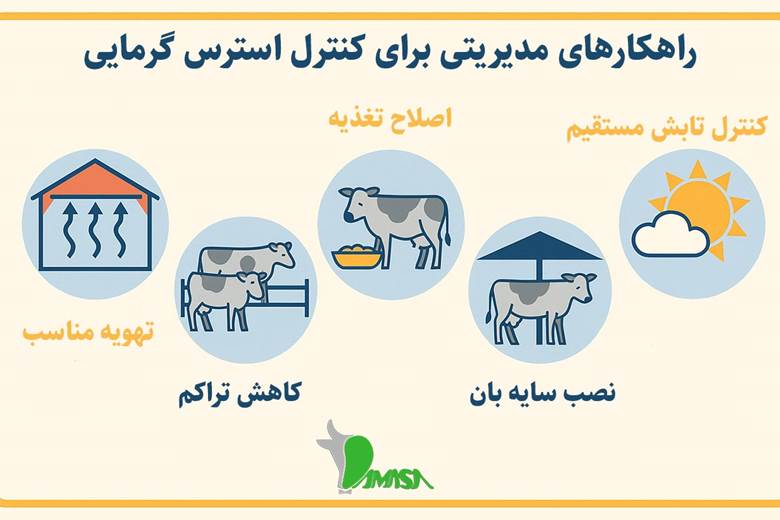 عوامل موثر بر بروز استرس گرمایی 3 management-strategies-for-controll-heat-stress
