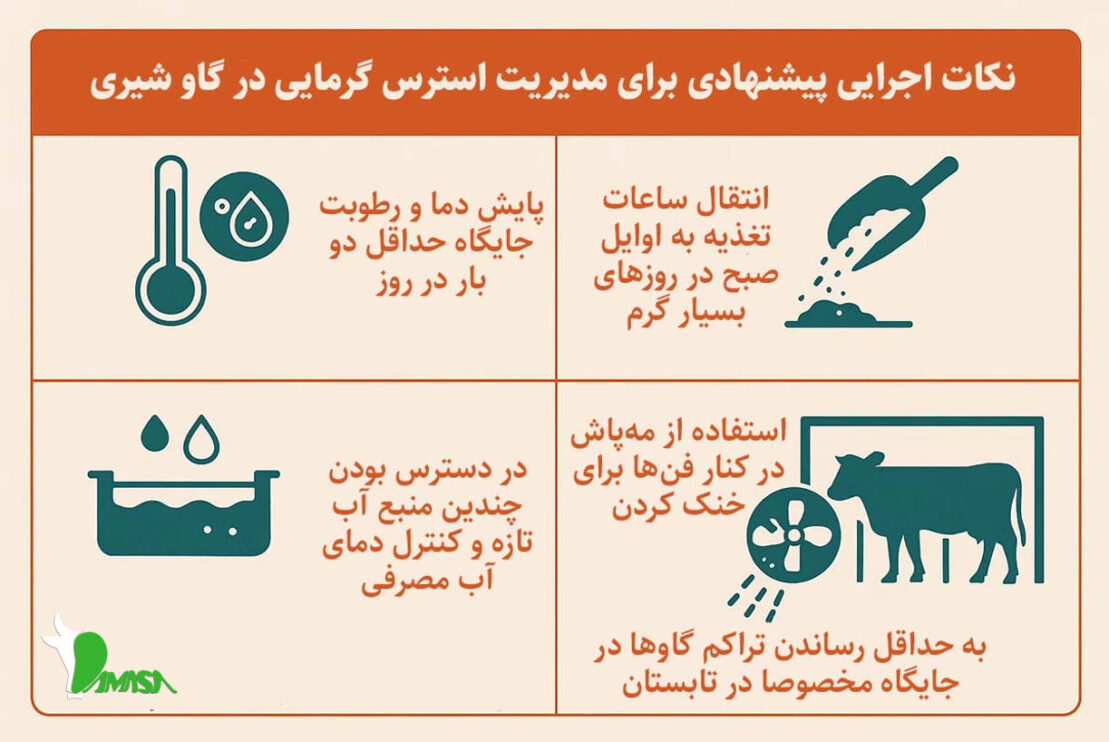 استرس گرمایی در گاو شیری: علل، علائم و بهترین روش پیشگیری 4 practical-tips-for-managing-heat-stress-in-dairy-cow